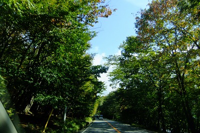 d0131847_14350976.jpg