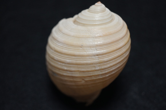 c0312349_1437943.jpg