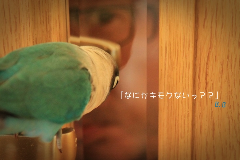 c0145250_10301214.jpg
