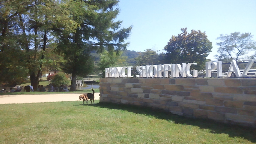 f0046250_1035862.jpg