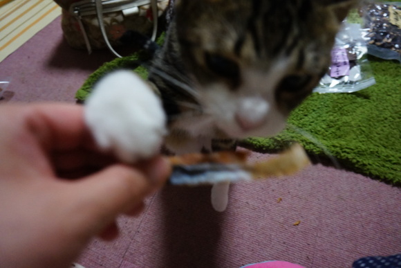 c0245751_21082991.jpeg