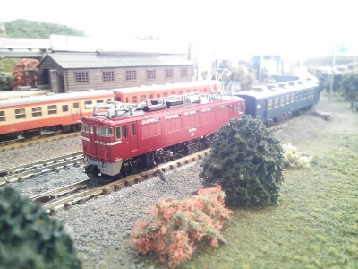 f0131165_044234.jpg