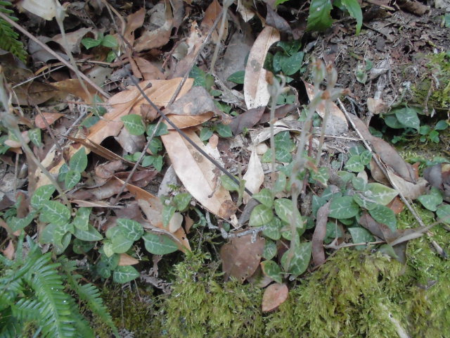 f0318967_20100337.jpg