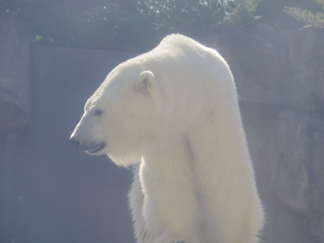 b0014576_22065581.jpg