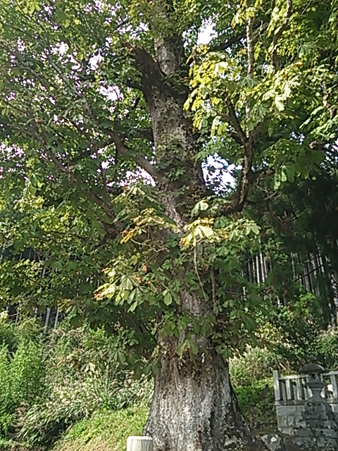 c0204188_1123357.jpg