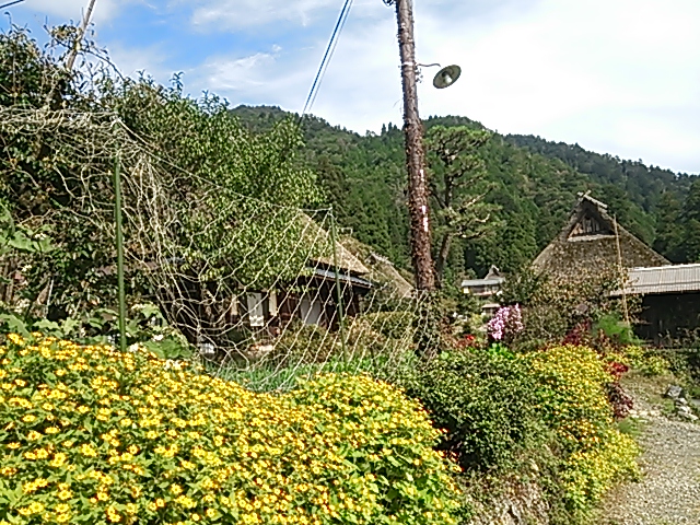 c0204188_11234236.jpg