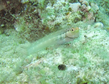 c0018489_18165017.jpg
