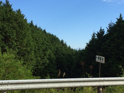 e0247789_16383613.jpg