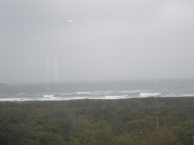 f0131491_142395.jpg