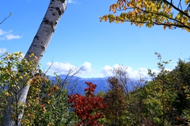b0236595_8262744.jpg