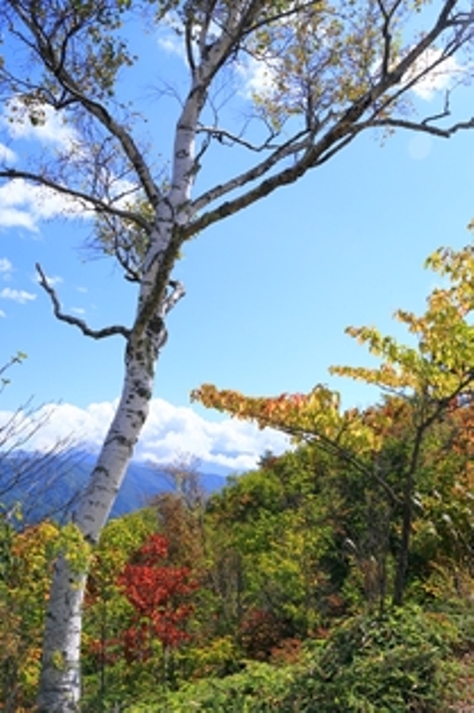 b0236595_8272397.jpg