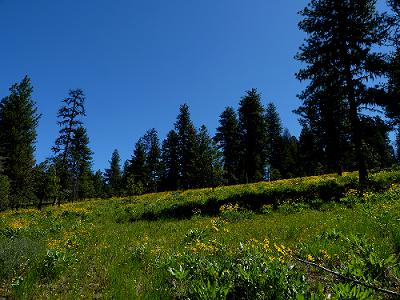 a0310405_04483941.jpg