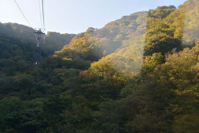 e0005714_21304176.jpg