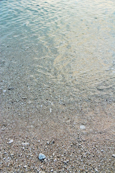 d0027320_2314194.jpg