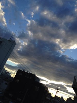 e0163721_1657645.jpg