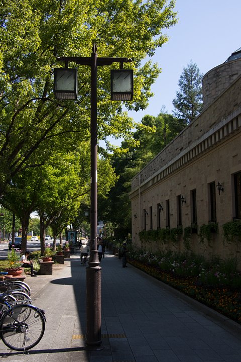 b0134829_2139718.jpg