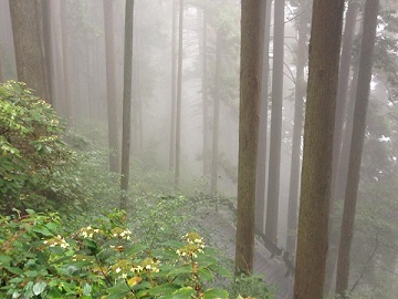 c0051529_022187.jpg