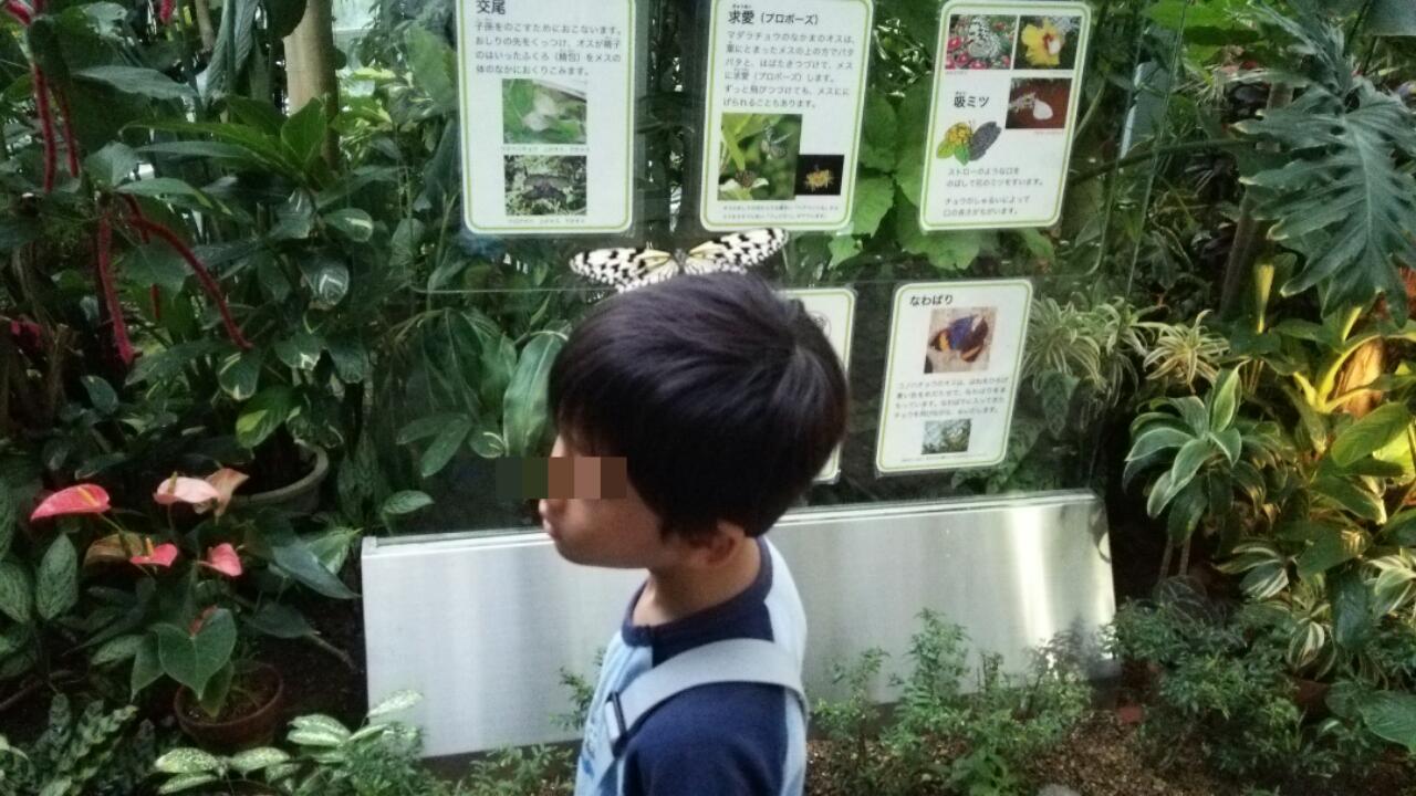c0337631_12491126.jpg
