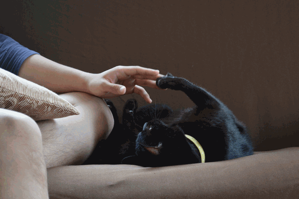 c0136736_1014265.gif
