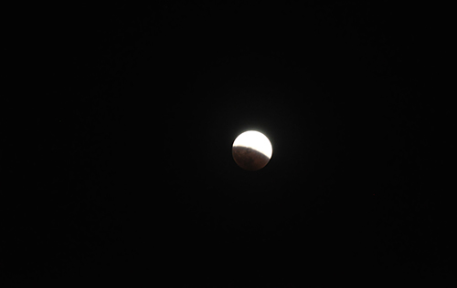 f0204440_1333429.jpg