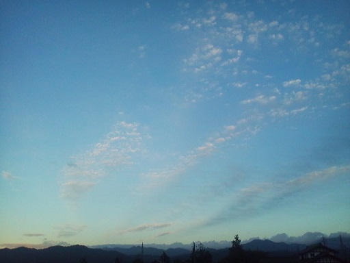 a0272241_1729928.jpg