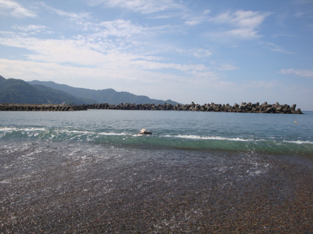 e0158841_11515032.jpg