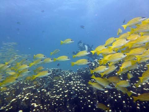 f0014842_2022848.jpg