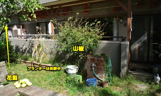 c0063348_11234253.jpg