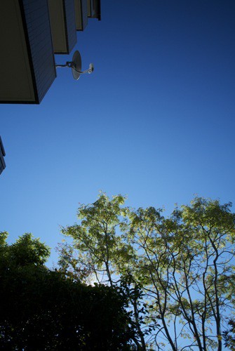 c0063348_11234518.jpg
