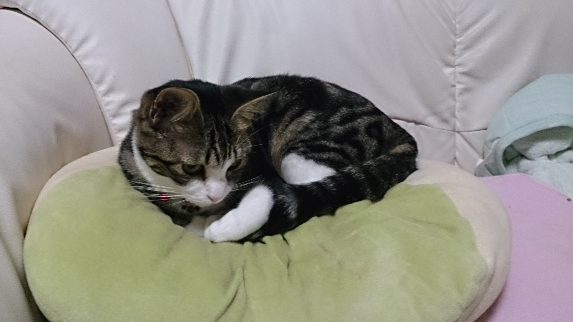 c0245751_01070919.jpeg