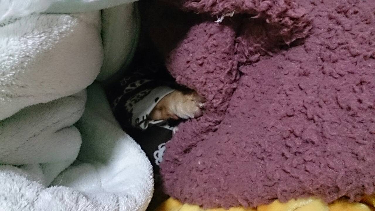 c0245751_01214512.jpeg
