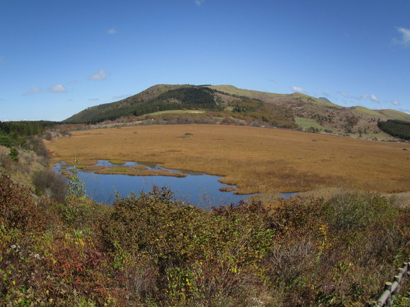 c0135361_21222466.jpg