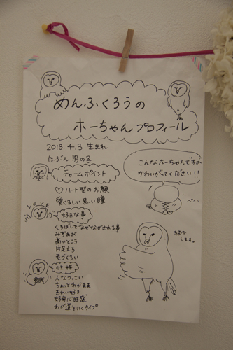 b0286869_17532449.jpg