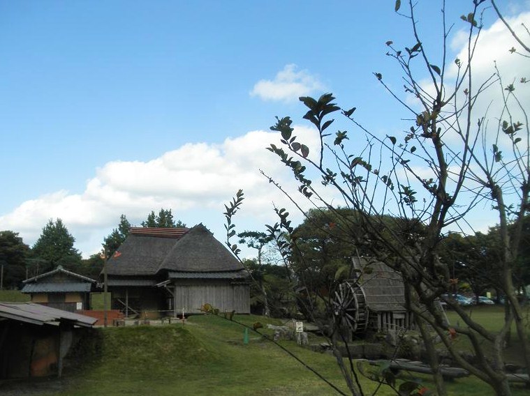 f0101679_1845561.jpg