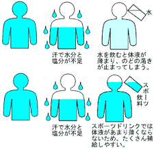 a0099285_23512464.png
