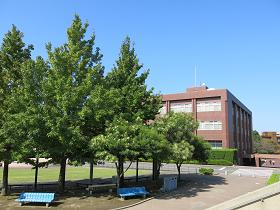 e0130185_18353973.jpg