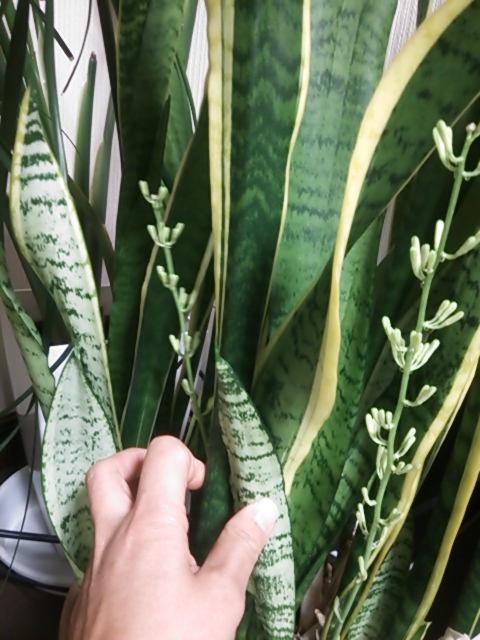 c0204188_225434.jpg