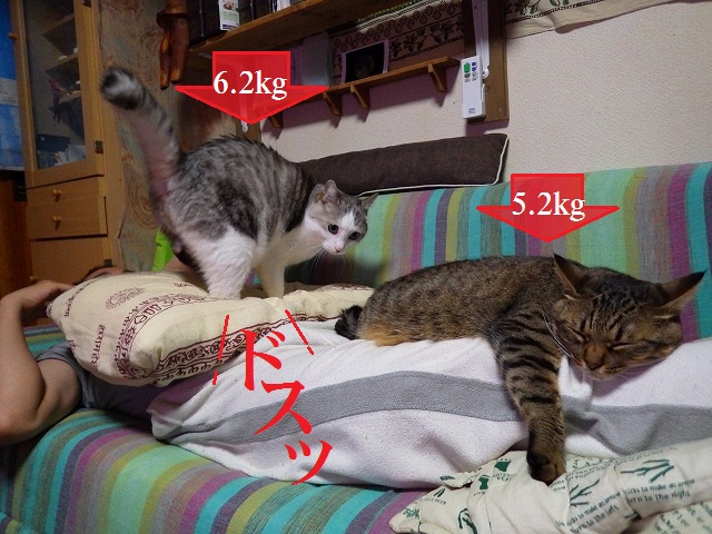 a0159490_16435086.jpg