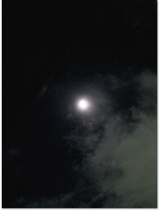 e0197895_6375379.jpg