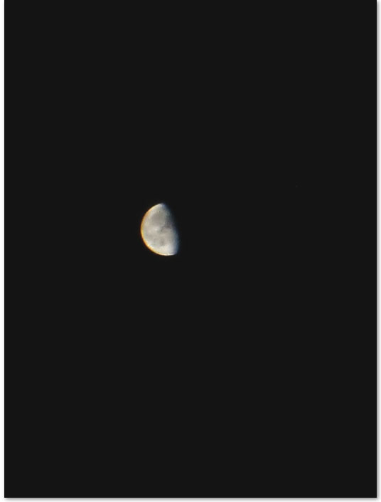 e0197895_6375621.jpg