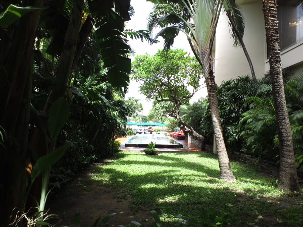 d0080998_21470811.jpg