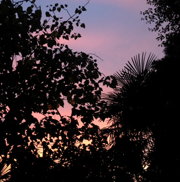 a0201204_2202963.jpg