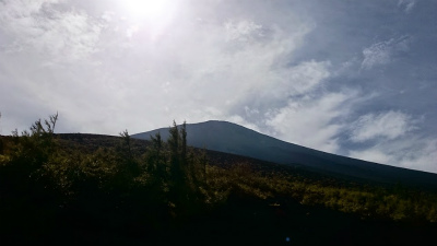 b0147522_14213429.jpg
