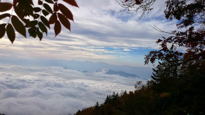 b0147522_14293691.jpg