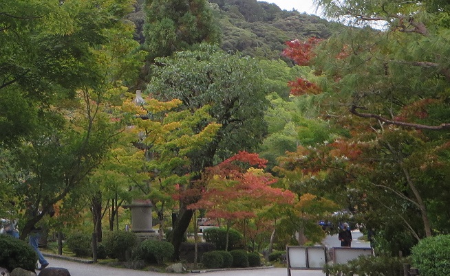 c0280322_23431553.jpg