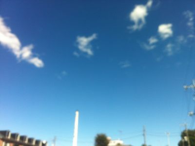 f0132230_1047367.jpg