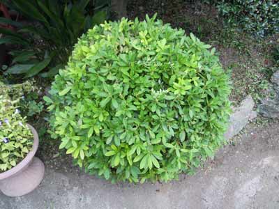 e0097534_17163058.jpg