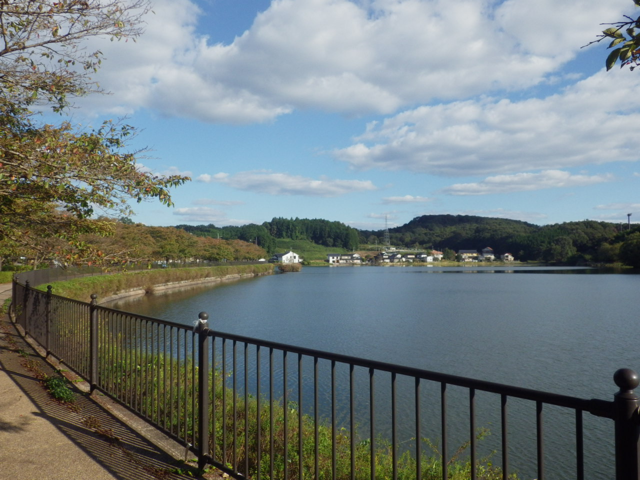 c0300035_1642425.jpg