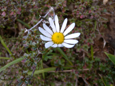 e0272335_20234589.jpg