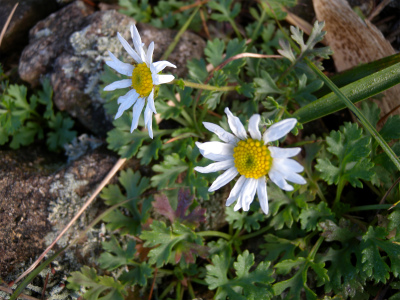 e0272335_2024538.jpg